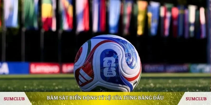Bám sát biến động tỷ lệ của từng bảng đấu