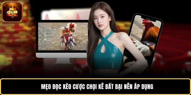 Mẹo đọc kèo cược chọi kê bất bại nên áp dụng